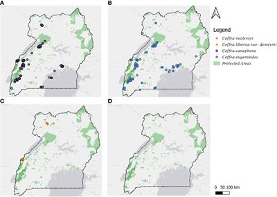 A review of the indigenous coffee resources of Uganda and their potential for coffee sector sustainability and development